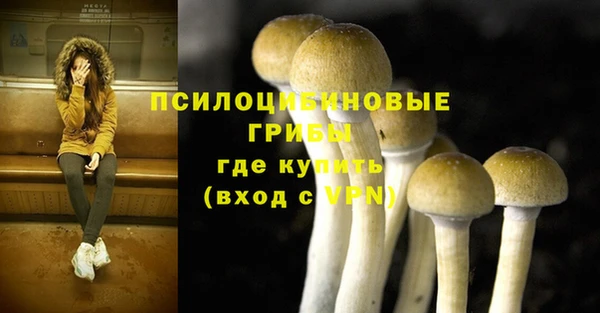 твердый Бугульма
