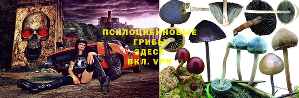 круглые Бородино