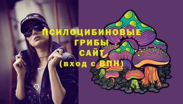 круглые Бородино