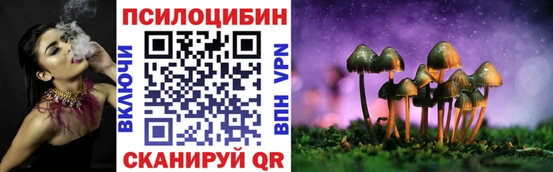 Купить где  Горбатов  Галлюциногенные грибы MAGIC MUSHROOMS 